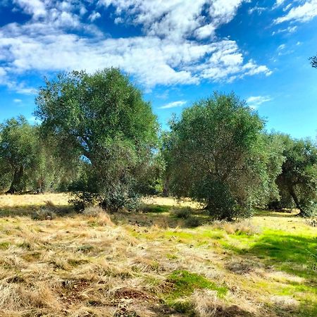 Agriturismo Lillastro Braccagni Luaran gambar