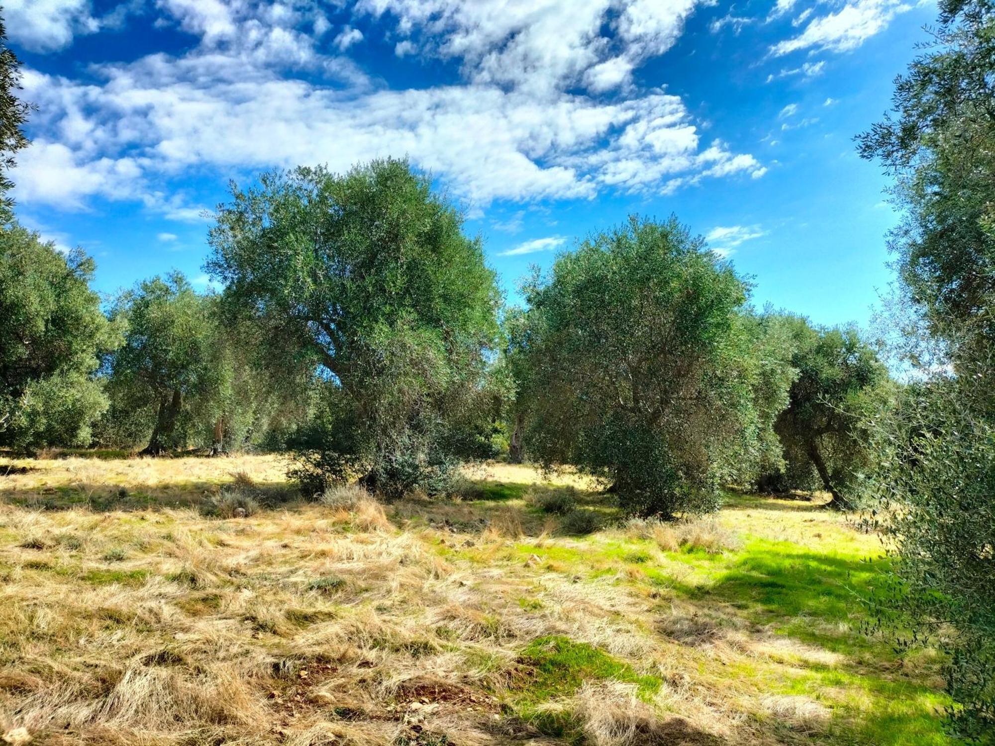Agriturismo Lillastro Braccagni Luaran gambar