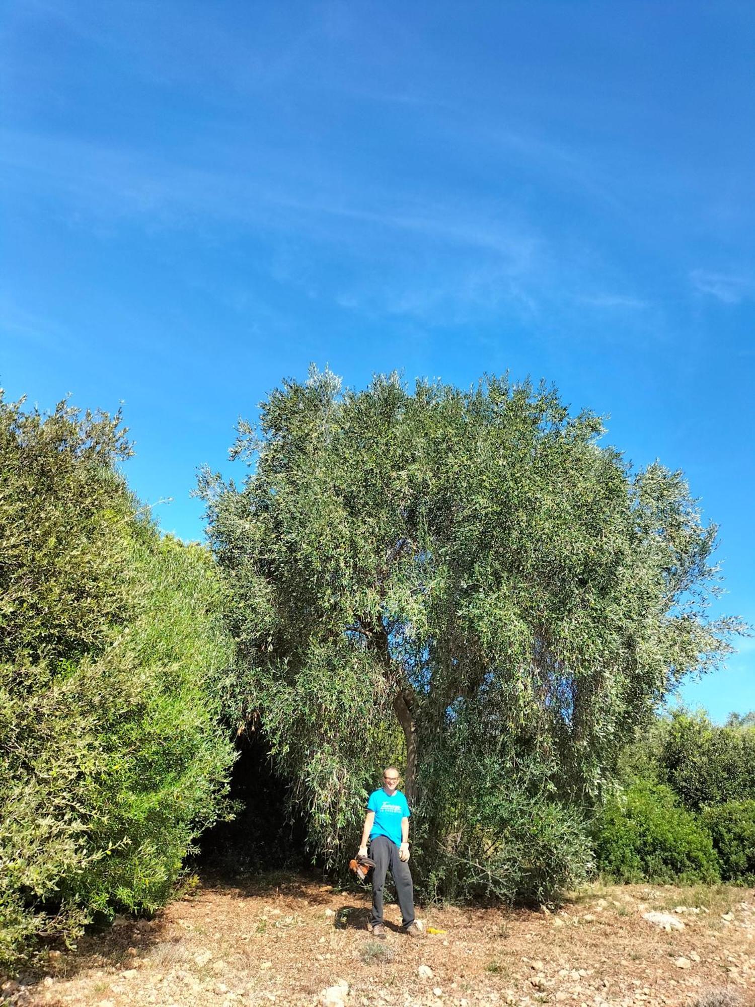 Agriturismo Lillastro Braccagni Luaran gambar