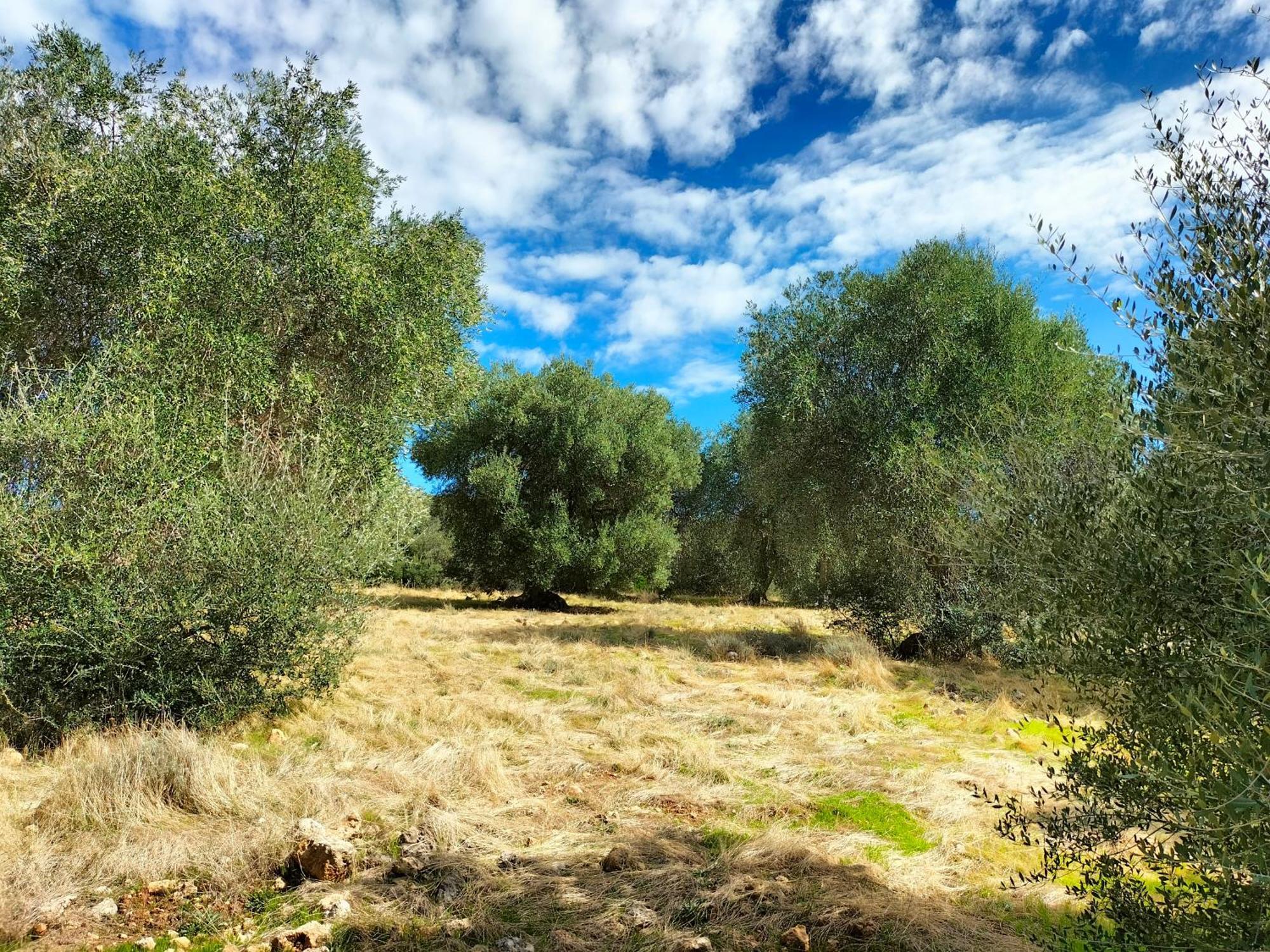 Agriturismo Lillastro Braccagni Luaran gambar