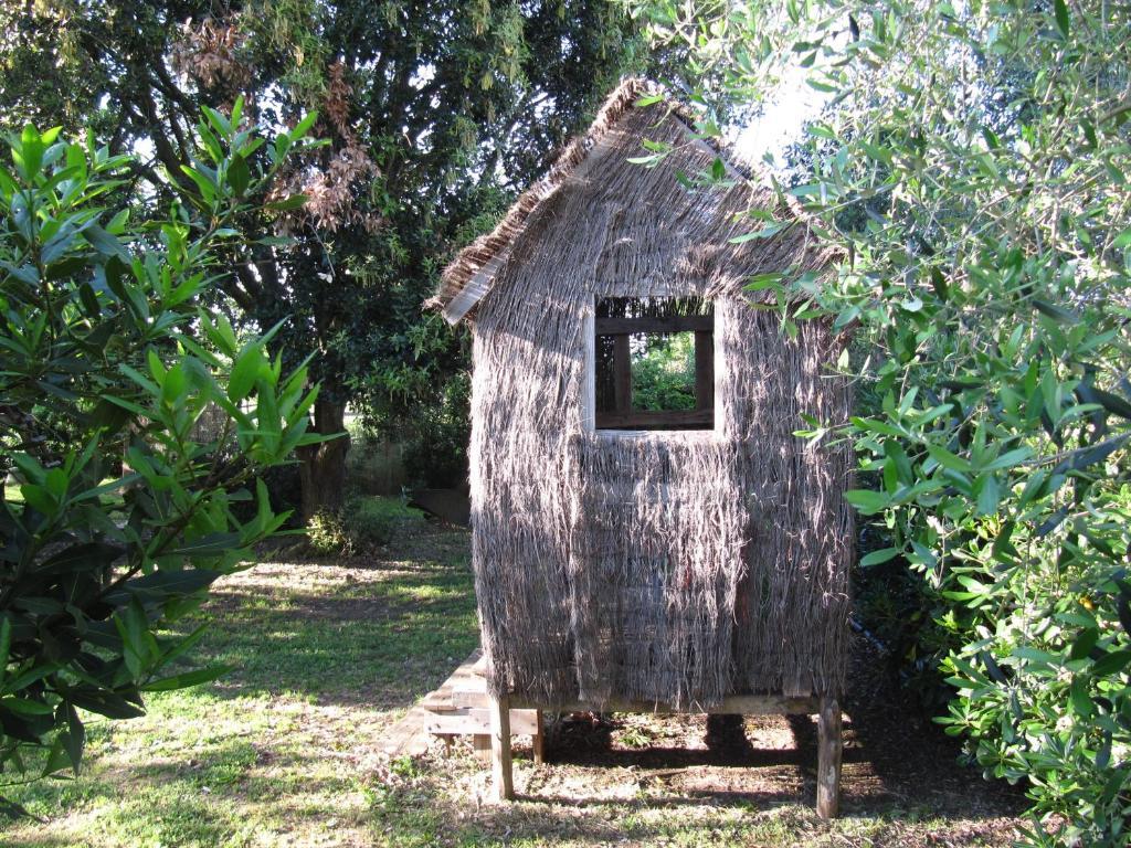 Agriturismo Lillastro Braccagni Luaran gambar